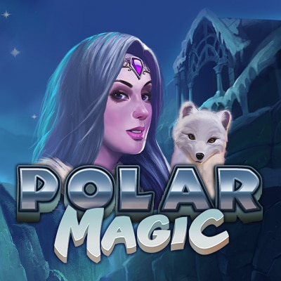 Polar Magic banner
