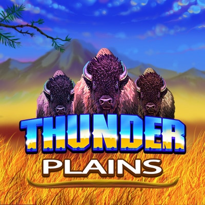 Thunder Plains banner