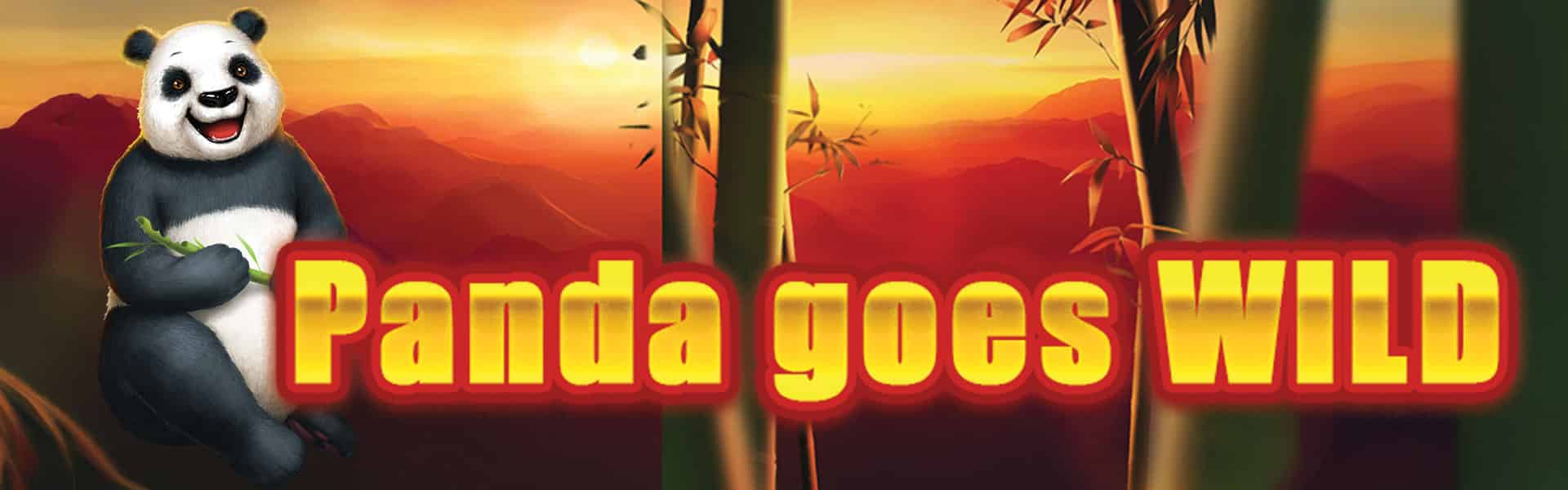 Game Banner