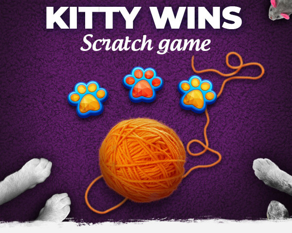 Kitty Wins banner